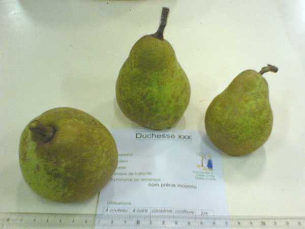 duchesse_xxx_monthureux06.jpg